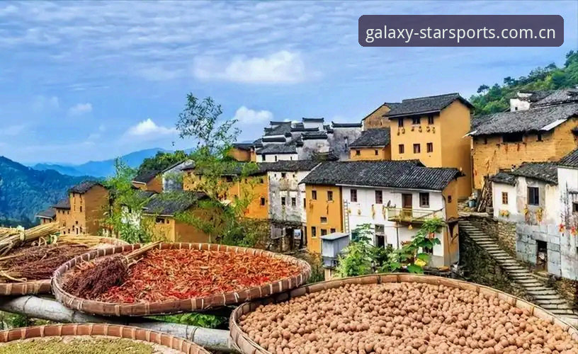 星空体育综合平台使用教程：从注册到下载的完整操作指南